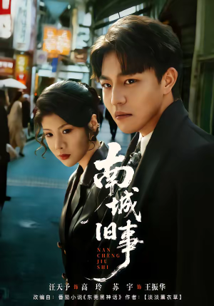 南城旧事(80集) 南城旧事(80集)全集我都看完了