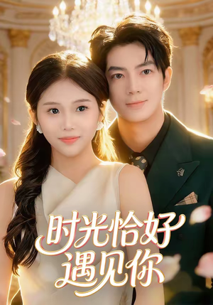 时光恰好遇见你（80集）热播短剧分享