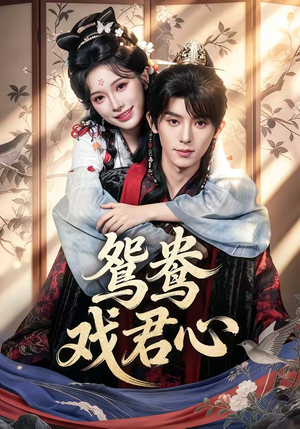 鸳鸯戏君心（60集）看到大结局