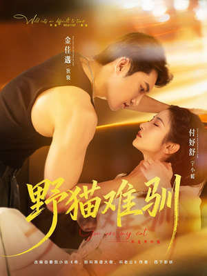 野猫难驯（73集）在线看完整版
