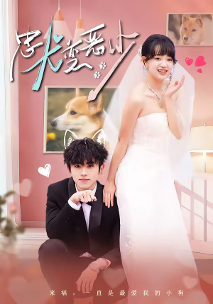 忠犬变恶少（80集）一共多少集