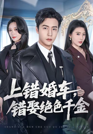 上错婚车,错娶绝色千金(80集) 上错婚车,错娶绝色千金(80集)爆款短剧追不停