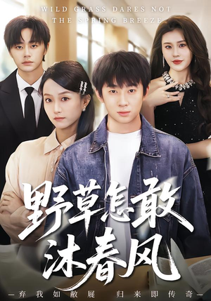 野草怎敢沐春风（61集）在线观看全集
