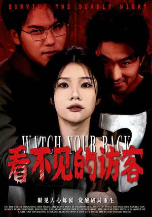 看不见的访客（62集）1-102集