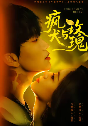 疯犬与玫瑰（80集）追短剧太上头了