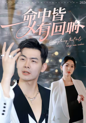 命中皆有回响（62集）夸克网盘观看