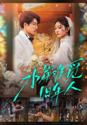 水岸难觅旧年人（68集）红果短剧看全集