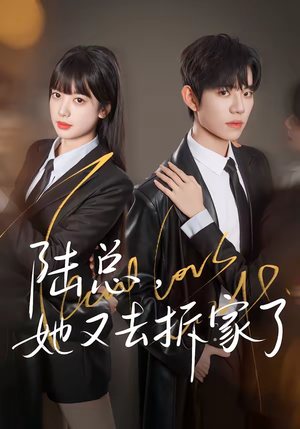 陆总，她又去拆家了（80集）每天短剧分享