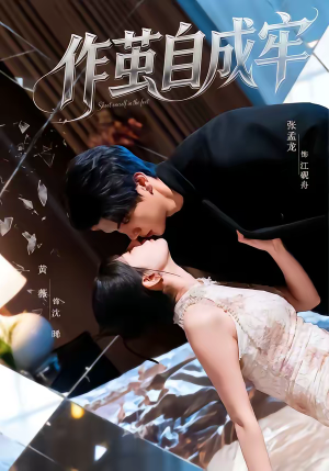 作茧自成牢（52集）百度网盘资源