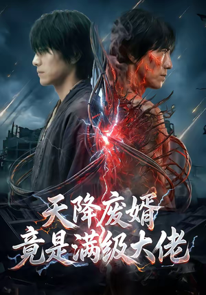 天降废婿竟是满级大佬（58集）观看软件