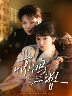 惊鸿一瞥(72集) 惊鸿一瞥(72集)精彩短剧合集