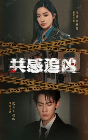 共感追凶（60集）全集一次看完
