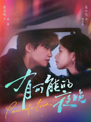 有可能的夜晚（81集）大结局