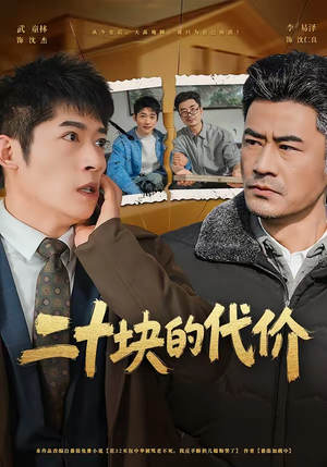 二十块的代价（64集）看短剧放松一下