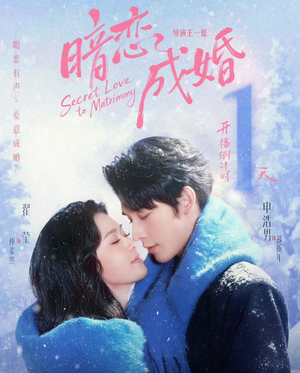 暗恋成婚（60集）一个短剧看全集