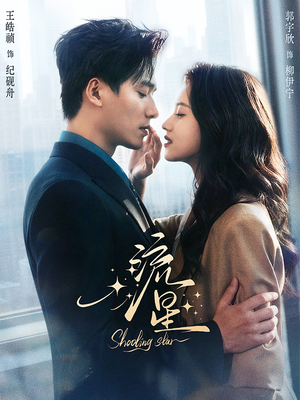 流星（77集）集免费看短剧