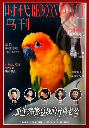 重生鹦鹉：总裁的异鸟老公（80集）短剧全集免费看