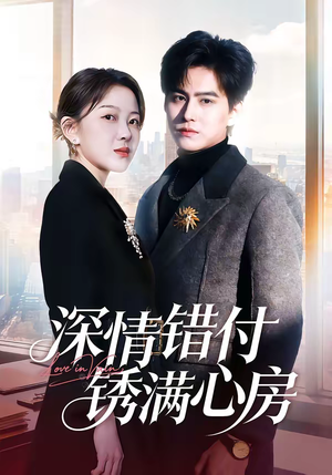 深情错付锈满心房（60集）短剧在哪个平台