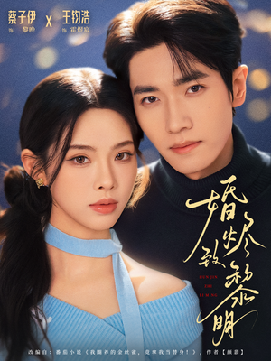 婚烬致黎明（77集）演的怎么样