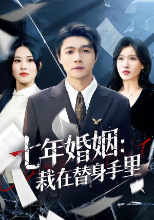 七年婚姻:栽在替身手里(80集) 七年婚姻:栽在替身手里(80集)集免费看短剧