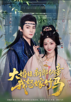 大婚日，新郎纳妾我怒嫁竹马（80集）短剧免费看全集