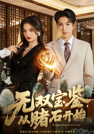 无双宝鉴，从赌石开始（70集）高分推荐免费看