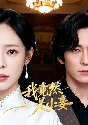 我竟然是小妾(47集) 我竟然是小妾(47集)海量资源免费看