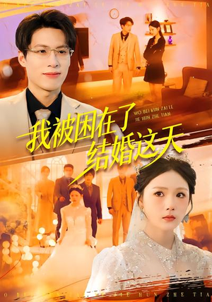 我被困在了结婚这天(40集) 我被困在了结婚这天(40集)好看的短剧推荐