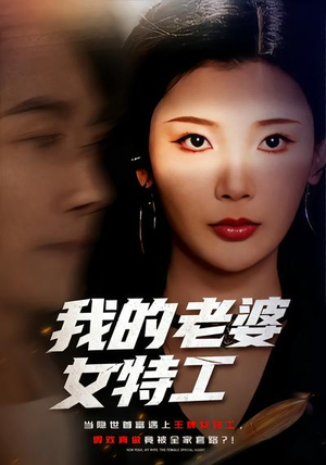 我的老婆女特工（62集）海量资源免费看