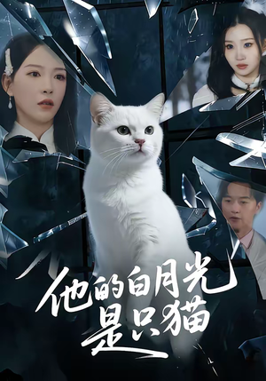 他的白月光是只猫（69集）短剧在哪里看