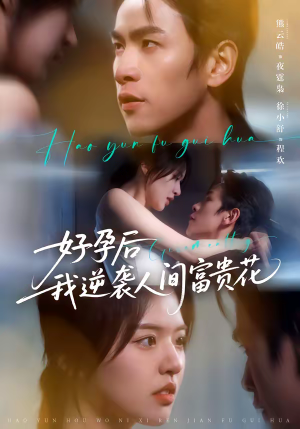 夜先生的小欢喜（71集）解说