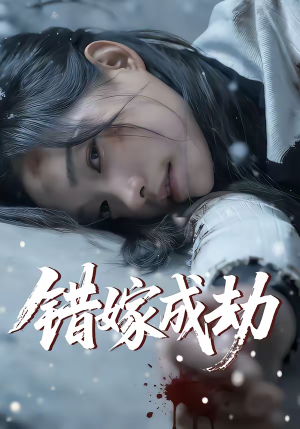 错嫁成劫（60集）80到100集