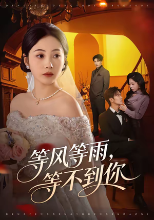 等风等雨，等不到你（65集）快来看短剧