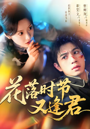 花落时节又逢君（61集）精彩短剧天天看