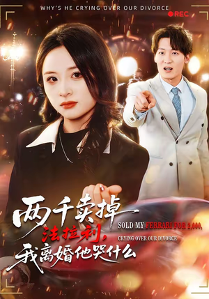 两千卖掉法拉利，我离婚他哭什么（44集）免费观看全集