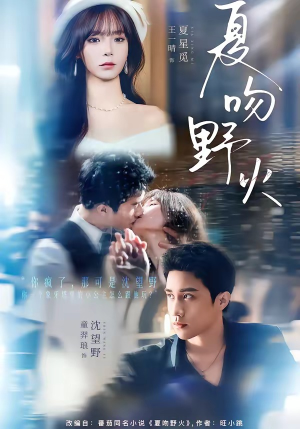 夏吻野火（80集）百度网盘资源
