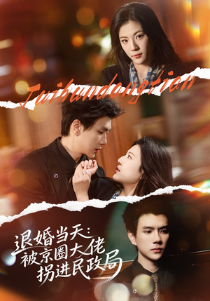 退婚当天：被京圈大佬拐进民政局（80集）免费短剧片段