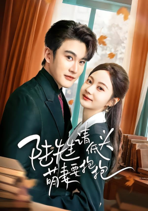 陆先生请低头萌妻要抱抱（51集）百度网盘在线看