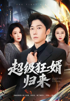 超级狂婿归来(81集) 超级狂婿归来(81集)在线看