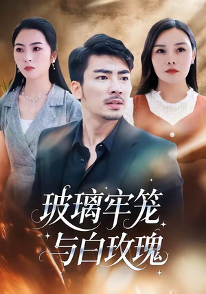 玻璃牢笼与白玫瑰（75集）短剧热门分享