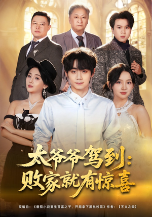 太爷爷驾到：败家就有惊喜（80集）在哪个平台能看