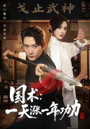 国术，一天涨一年功力（66集）剧情简介