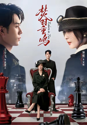 焚羽重鸣（60集）精彩短剧下载