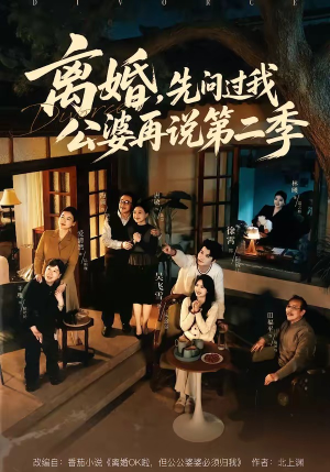离婚，先问过我公婆再说第二季（90集）好看的短剧