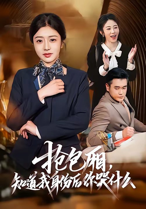 抢包厢，知道我身份后你哭什么（70集）恋爱短剧分享