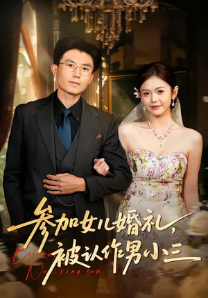参加女儿婚礼，被认作男小三（36集）在线观看完整版