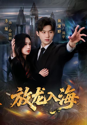 放龙入海（62集）高清无码免费看