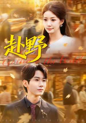 赴野（40集）女主角是谁