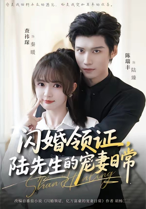 闪婚领证，陆先生的宠妻日常（86集）最火的短剧