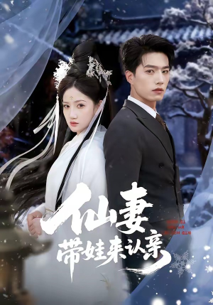仙妻带娃来认亲（66集）高清画质免费看